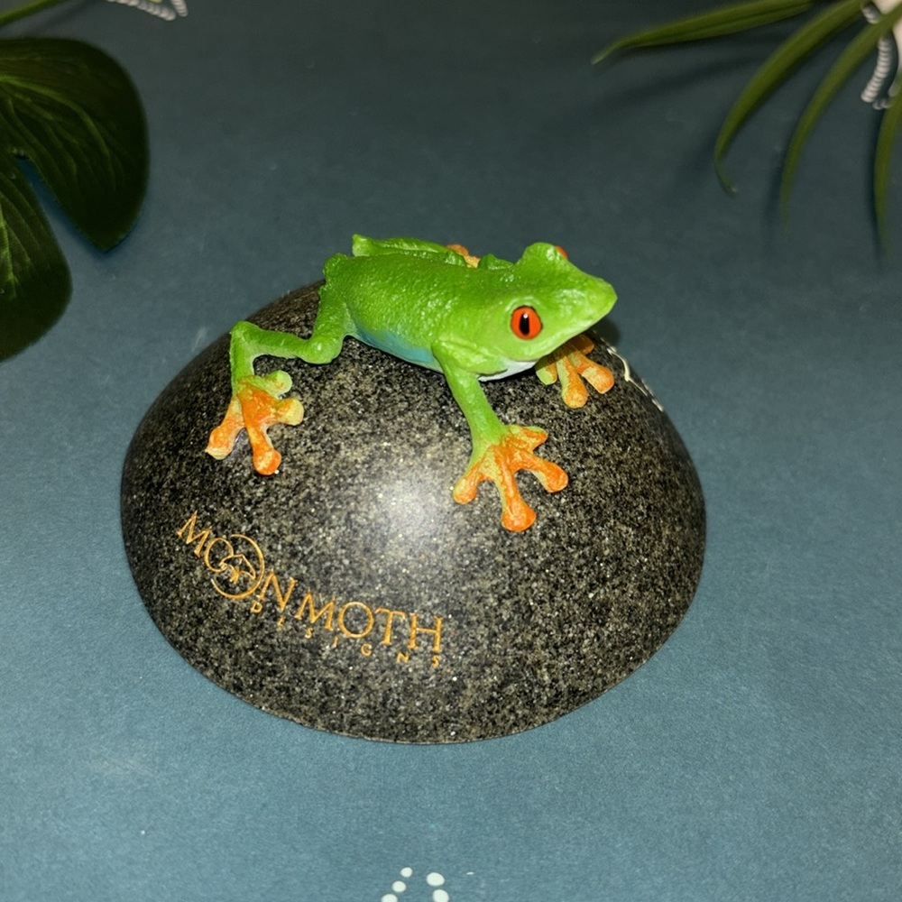 Frog Decor - Picture 2 of 6
